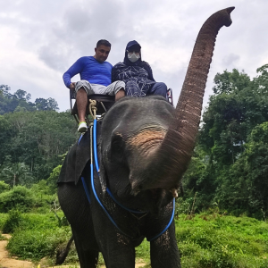 سفر تداول فوركس